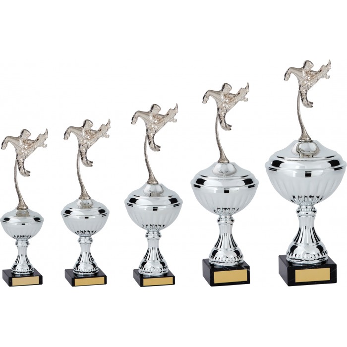 FLYING KICK METAL  MARTIAL ARTS TROPHY  - AVAILABLE IN 5 SIZES